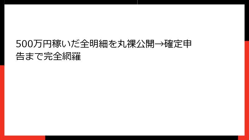 500万円稼いだ全明細を丸裸公開→確定申告まで完全網羅